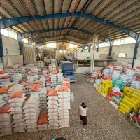 سبوس برنج|عمدهفروشی|آمل, |دیوار