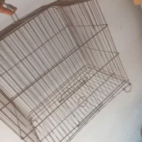 قفس پرنده|لوازم جانبی حیوانات|ری, فیروزآبادی|دیوار