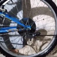 دوچرخه ۲۶ نو|دوچرخه، اسکیت، اسکوتر|صفادشت, |دیوار