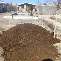 کود گاو مرغی درجه یک.خاک مخصوص باغچه.تعویض خاک|خدمات باغبانی و درختکاری|کرمان, |دیوار