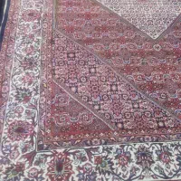 فرش دستباف|فرش|زنجان, |دیوار