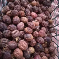 بذر پشن فروت تعداد ۲۰۰ عدد موجود هست