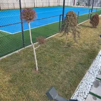 نصب وفروش چمن مصنوعی فنس چمنی گیریموال|خدمات باغبانی و درختکاری|کرج, آق تپه|دیوار