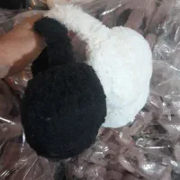 گوش گیر ایرانی عمده