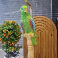 آباژور رومیزی طوطی