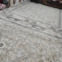 دو عدد فرش دوازده متری ۷۰۰ شانه نگین مشهد|فرش|سرپل ذهاب, |دیوار