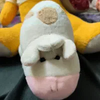 فروش عروسک|اسباب‌‌بازی|نیشابور, دارایی|دیوار