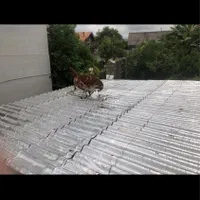 نصب و فروش ایزوگام|خدمات پیشه و مهارت|چالوس, |دیوار