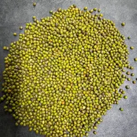 لوبیا چیتی و قرمز و چشم بلبلی و نخود و لپه و ماش و|خوردنی و آشامیدنی|تهران, منصوریه (پل سیمان)|دیوار
