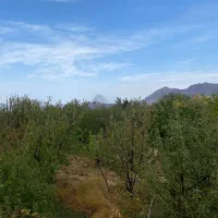 فروش باغ میوه در فشند|فروش زمین و ملک کلنگی|هشتگرد, فشند|دیوار