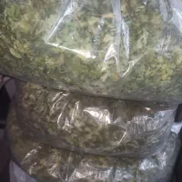 فروش گیاهان و سبزیجات خشک