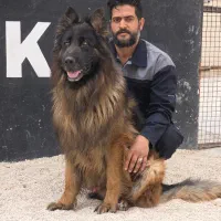 ژرمن موبلند