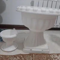 گلدان پلاستیکی طرح جام|گل و گیاه طبیعی|شاهرود, |دیوار