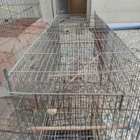تعدادی قفس پرنده جهت فروش