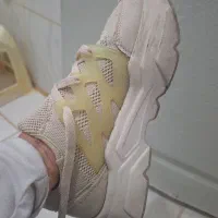 کیف و کفش .|کیف، کفش، کمربند|پرند, فاز ۶|دیوار