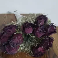 سرگرمی وفراغت|کلکسیون و سرگرمی|تبریز, |دیوار