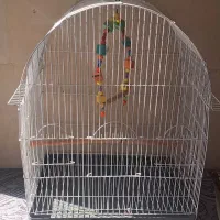 قفس پرنده