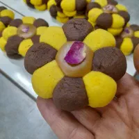 خشکار هستم جویای کار