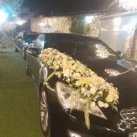 تالار|خدمات پذیرایی، مراسم|تبریز, |دیوار