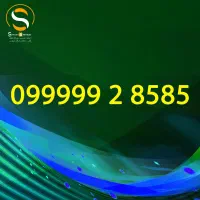 099999-2-8585