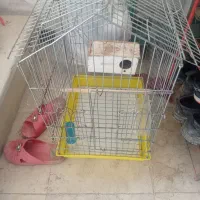 قفس پرنده|لوازم جانبی حیوانات|قائم‌شهر, |دیوار