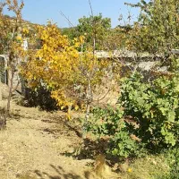 زمین مسکونی|فروش زمین و ملک کلنگی|دشمن زیاری, |دیوار