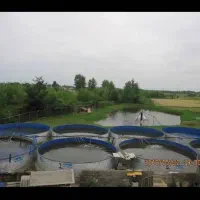 استخر پرورش ماهی