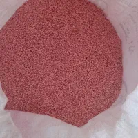 بذر گندم آبی