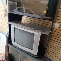 تلویزیون
