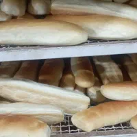 پخش نان باگت خمیر پیتزا|خوردنی و آشامیدنی|تهران, کن|دیوار