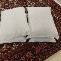 بالشت پر دو جفت