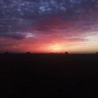 فروش ۱ هکتار زمین کشاورزی سید نور