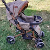 کالسکه دلیجان مدل بنیتا