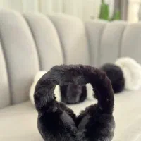 گوشگیر وارداتی