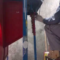 زرشک تازه دانه شده|خوردنی و آشامیدنی|قهستان, |دیوار