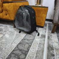 کیف حمل حیوانات