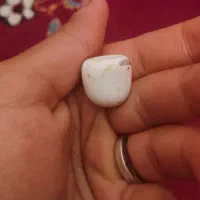 سنگ|کلکسیون اشیاء عتیقه|کرمان, |دیوار