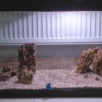 آکواریوم شرکتی