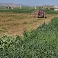 تهیه وتوضیع یونجه کاه و کلش
