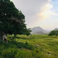 فروش ملک وزمین وساختمان|فروش دفتر صنعتی، کشاورزی، تجاری|سلفچگان, |دیوار