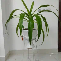 ساخت تخت خواب ،استند گل