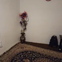 نظافت وپاکیزگی