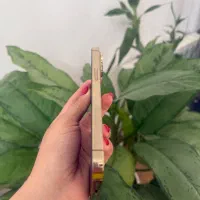 آیفون 13 پرو درحد نو دوسیم کارت|موبایل|رشت, امین الضرب|دیوار