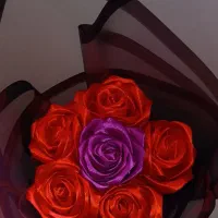 گل رز|گل مصنوعی|شیراز, کوشک میدان|دیوار