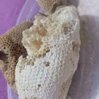 خوشمزه تضمینی
