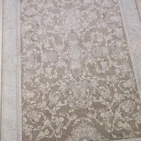 فرش|فرش|رشت, باهنر|دیوار