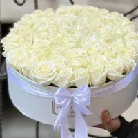 باکس و دسته گل