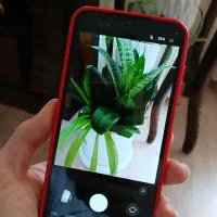 سامسونگ A15 4g