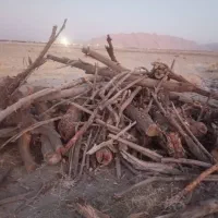 خریدار انواع چوب برش و خرید