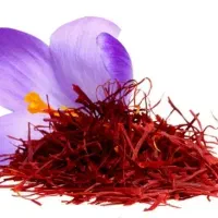 فروش سر گل زعفران